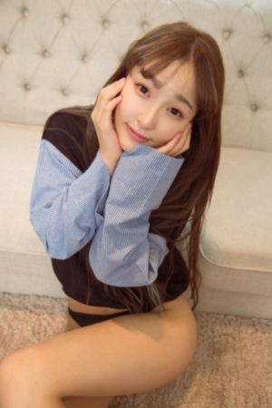 珠帘玉幕免费看